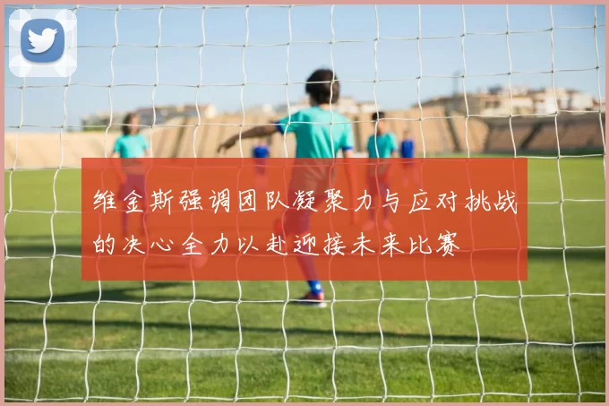 维金斯强调团队凝聚力与应对挑战的决心全力以赴迎接未来比赛